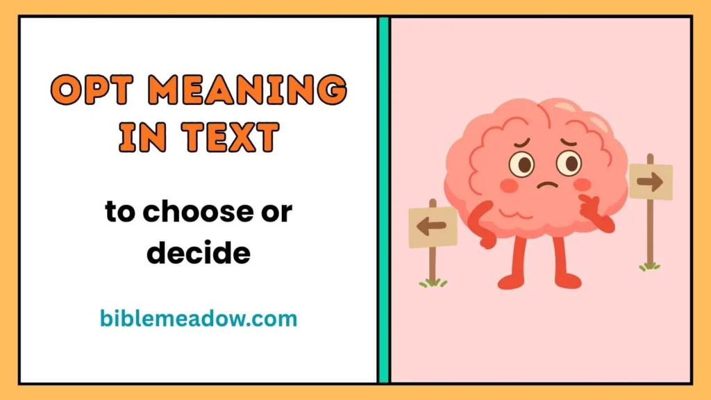 OPT Meaning in Text