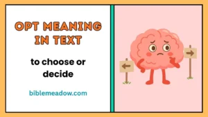 OPT Meaning in Text