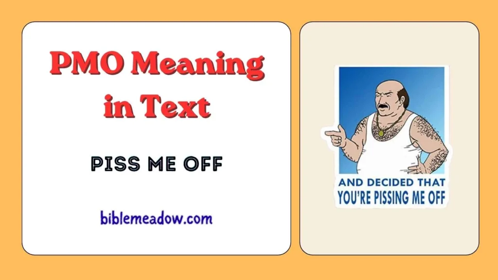 PMO Meaning in Text