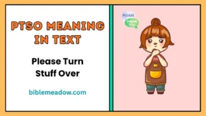 PTSO Meaning in Text