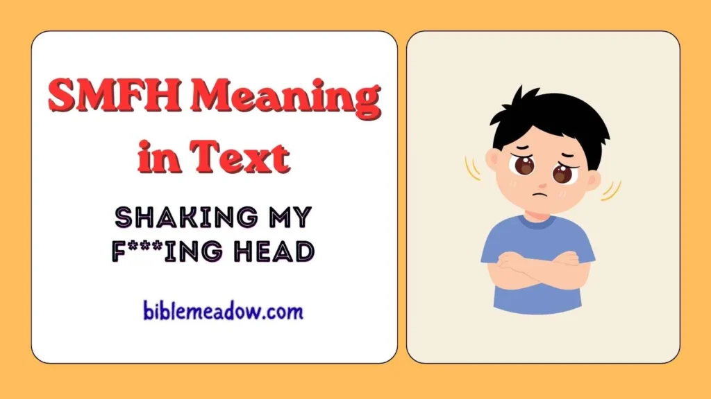 SMFH Meaning in Text