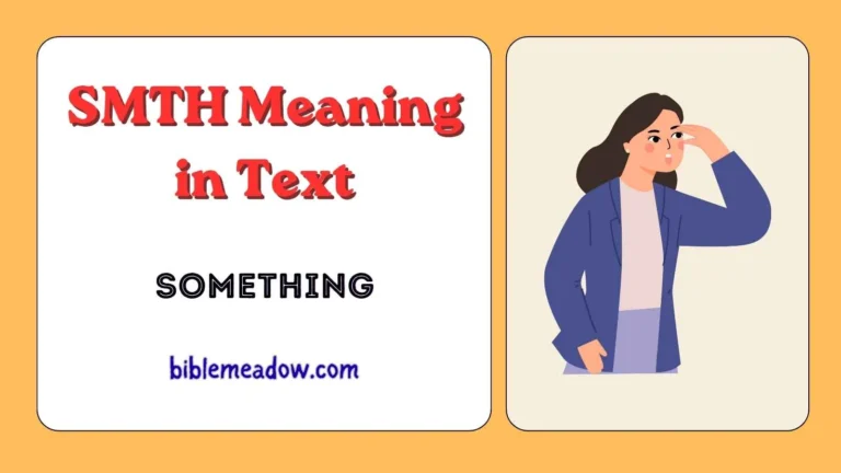 SMTH Meaning in Text
