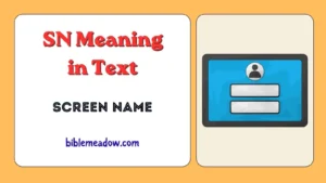 SN Meaning in Text