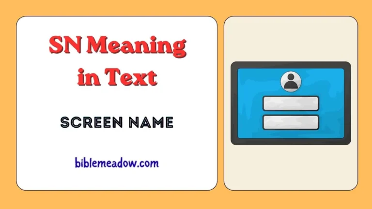 SN Meaning in Text