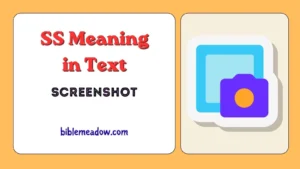 SS Meaning in Text