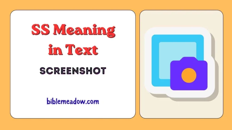 SS Meaning in Text