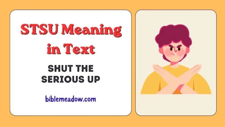 STSU Meaning in Text