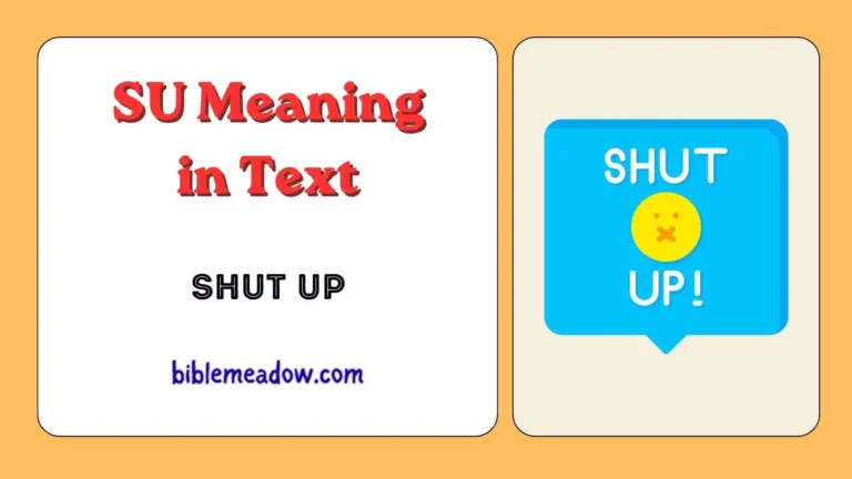 SU Meaning in Text