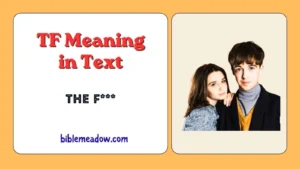 TF Meaning in Text