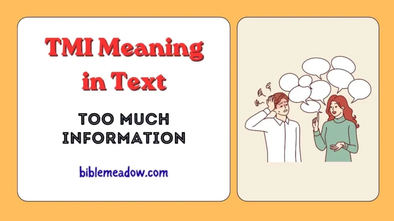 TMI Meaning in Text