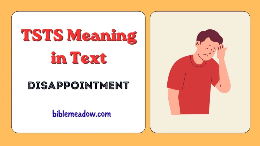 TSTS Meaning in Text