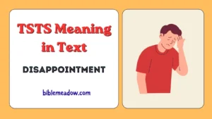 TSTS Meaning in Text