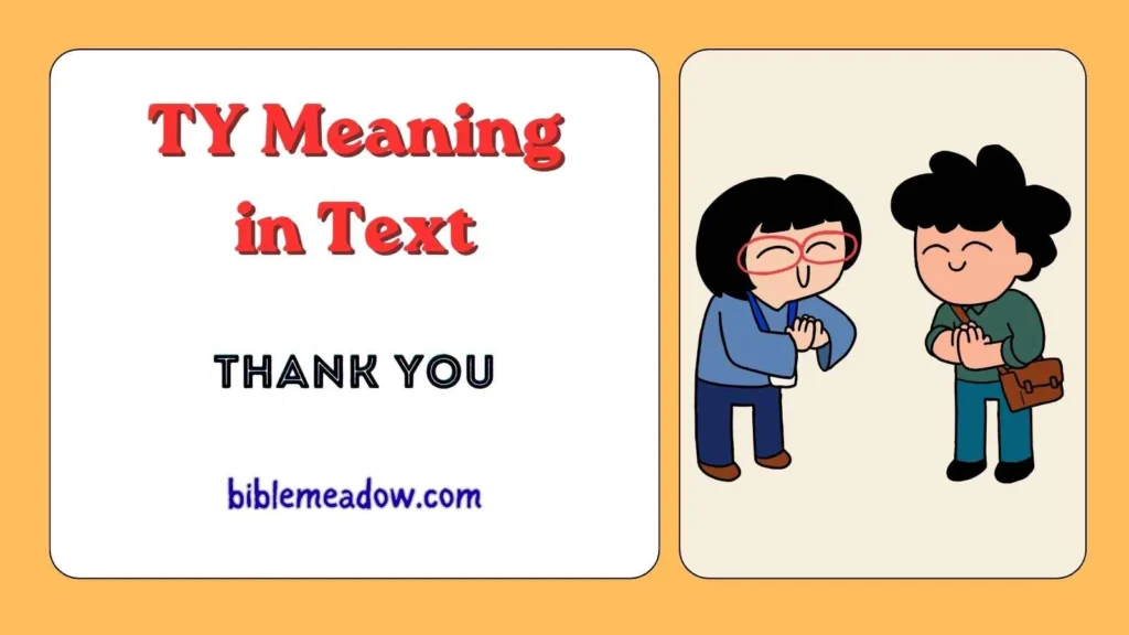 TY Meaning in Text