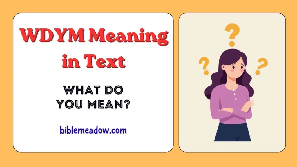 WDYM Meaning in Text