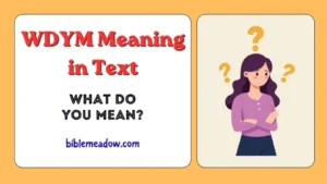 WDYM Meaning in Text