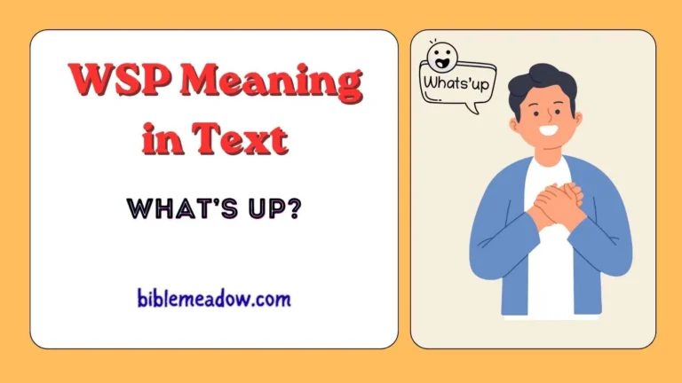 WSP Meaning in Text