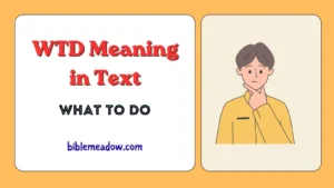 WTD Meaning in Text