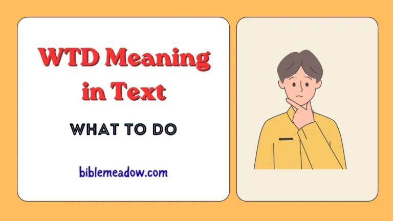 WTD Meaning in Text