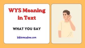 WYS Meaning in Text